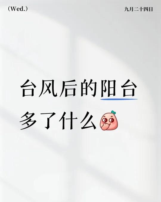 台风后的阳台多了什么[偷笑] 台风后的阳台少了什么😂台风来了 桦加沙 2025