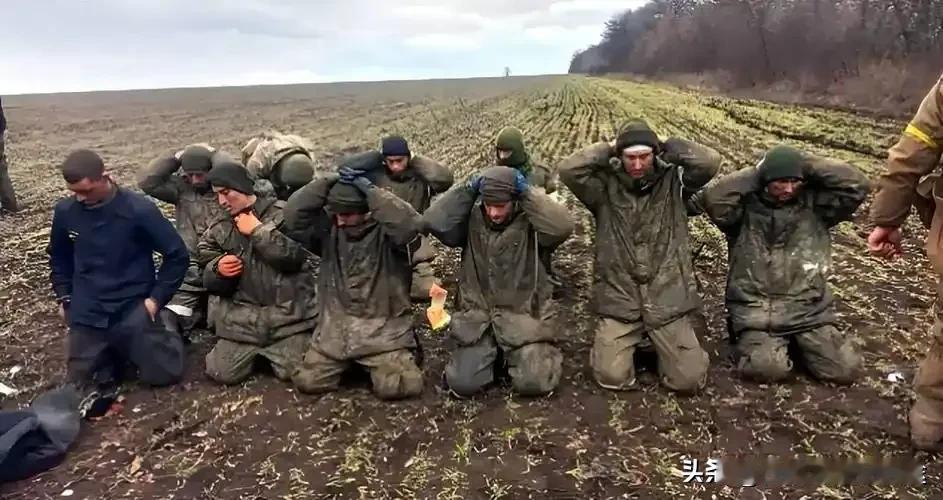 乌军快扛不住？50万精锐打到只剩72万！俄乌战争 乌克兰兵源危机
 
乌克兰这波