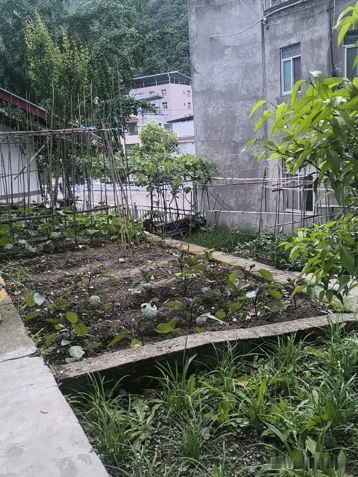 城里生活的人，都羡慕农村的田野风光和无拘无束的生活，但要让你在农村生活几年，能继