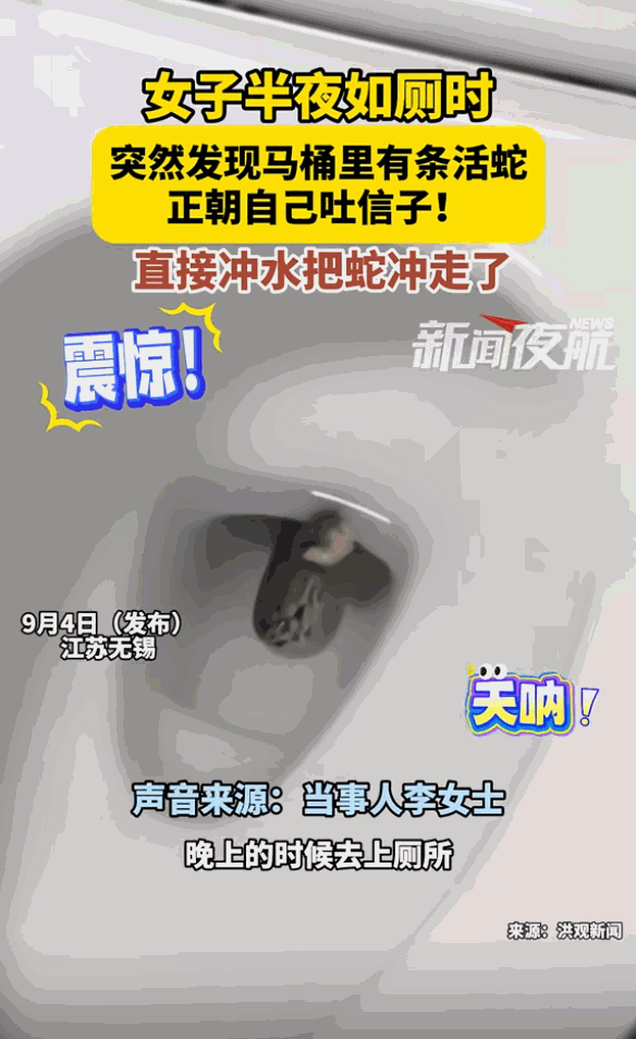 [熊猫]江苏，女子半夜起床上厕所，不料，刚坐上马桶，就感觉下面有东西，她起身打开