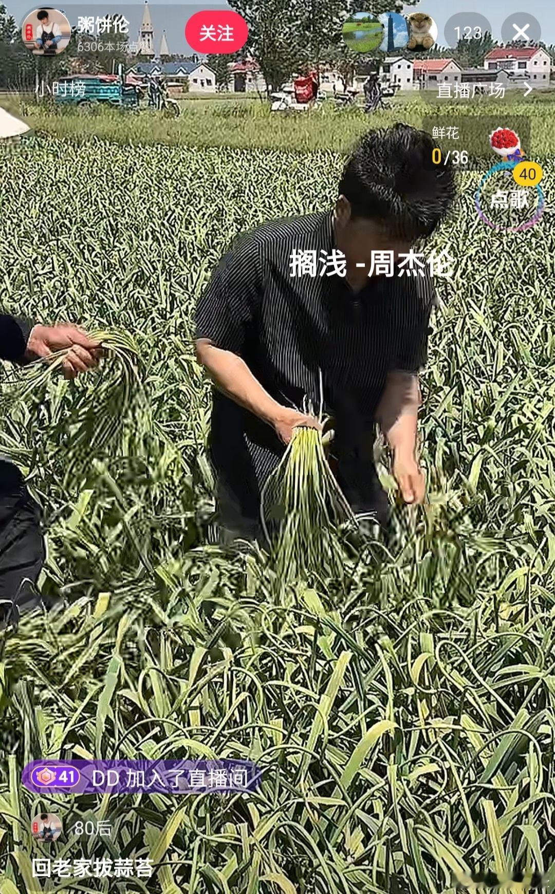 【粥饼伦回老家拔蒜薹了】5月9日，网红“粥饼伦”开启直播。直播显示，“粥饼伦”也