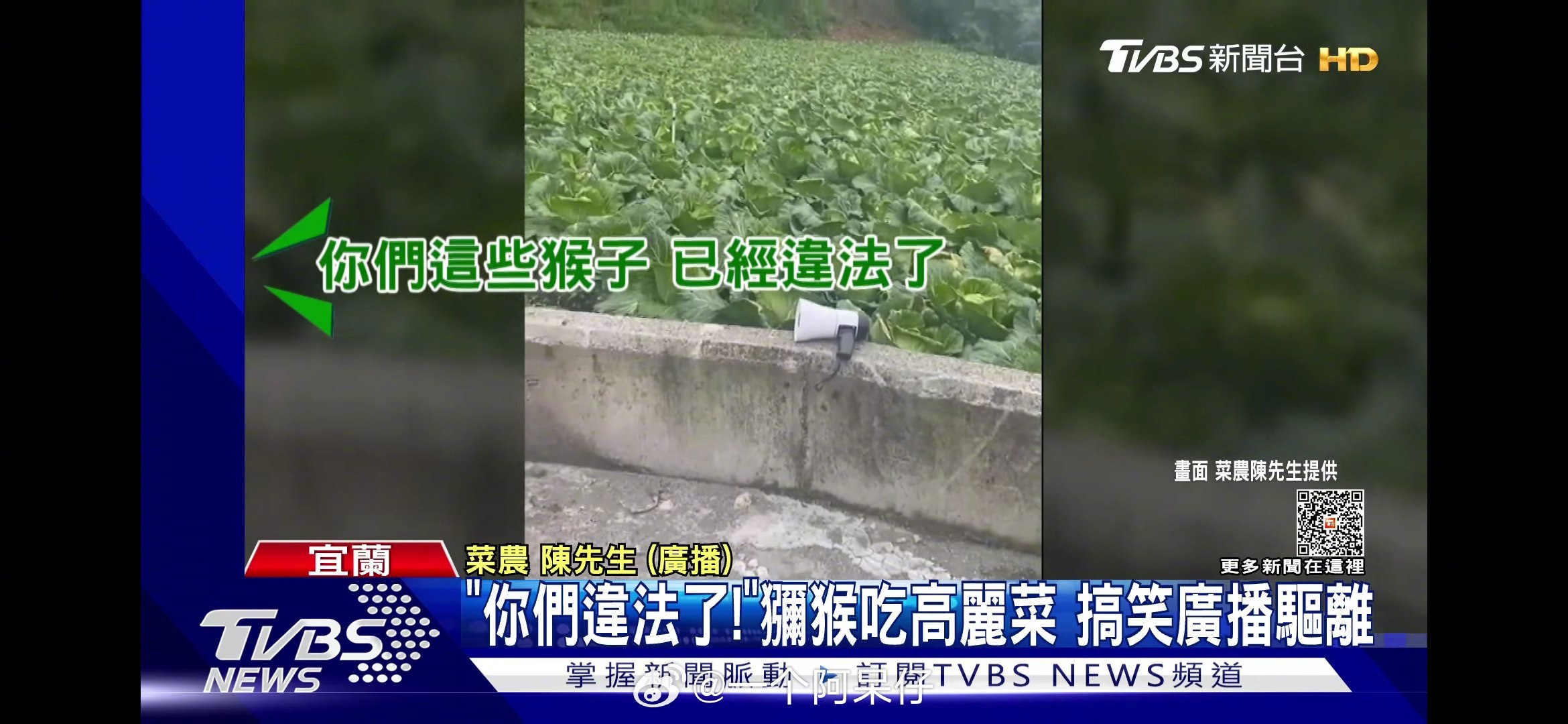 一些台湾省的迷惑新闻 ​​​