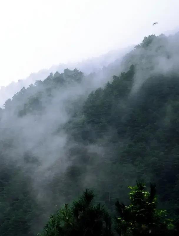 《七律   幽居之境》
茂林修竹掩农家，东壁湘帘挽绮霞。
晓望晴峦思谢朓，暮瞻闲