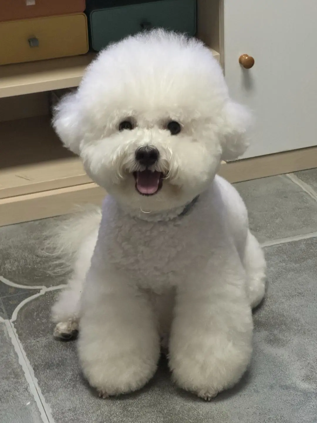 宝宝你是个毛绒小玩具🧸