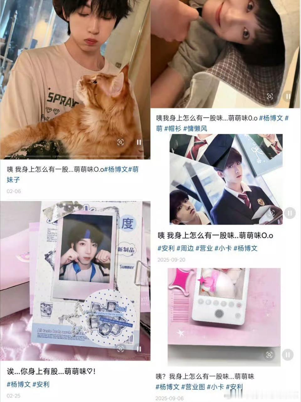 tg 张函瑞家抄袭 