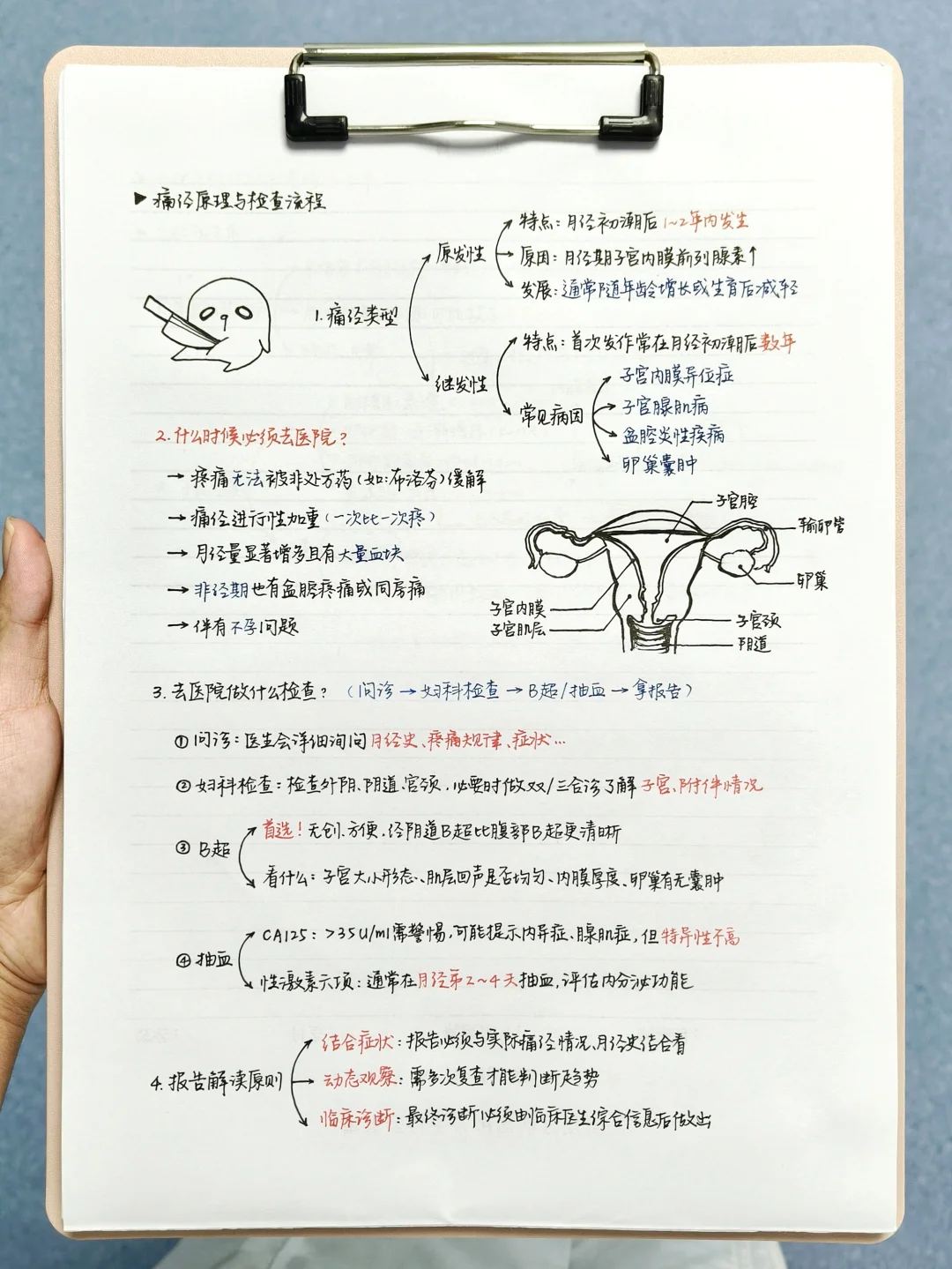 7年+痛经医学生｜妇科🧾检查报告怎么看?