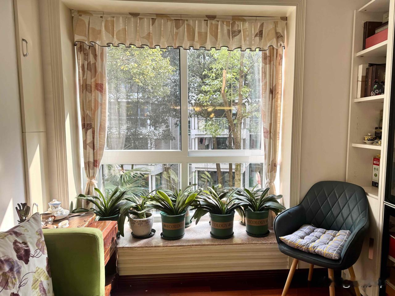 【我和小郑】距离过年只剩一个月了，她会更忙，所以今天提前来擦窗。几个小时过去，家