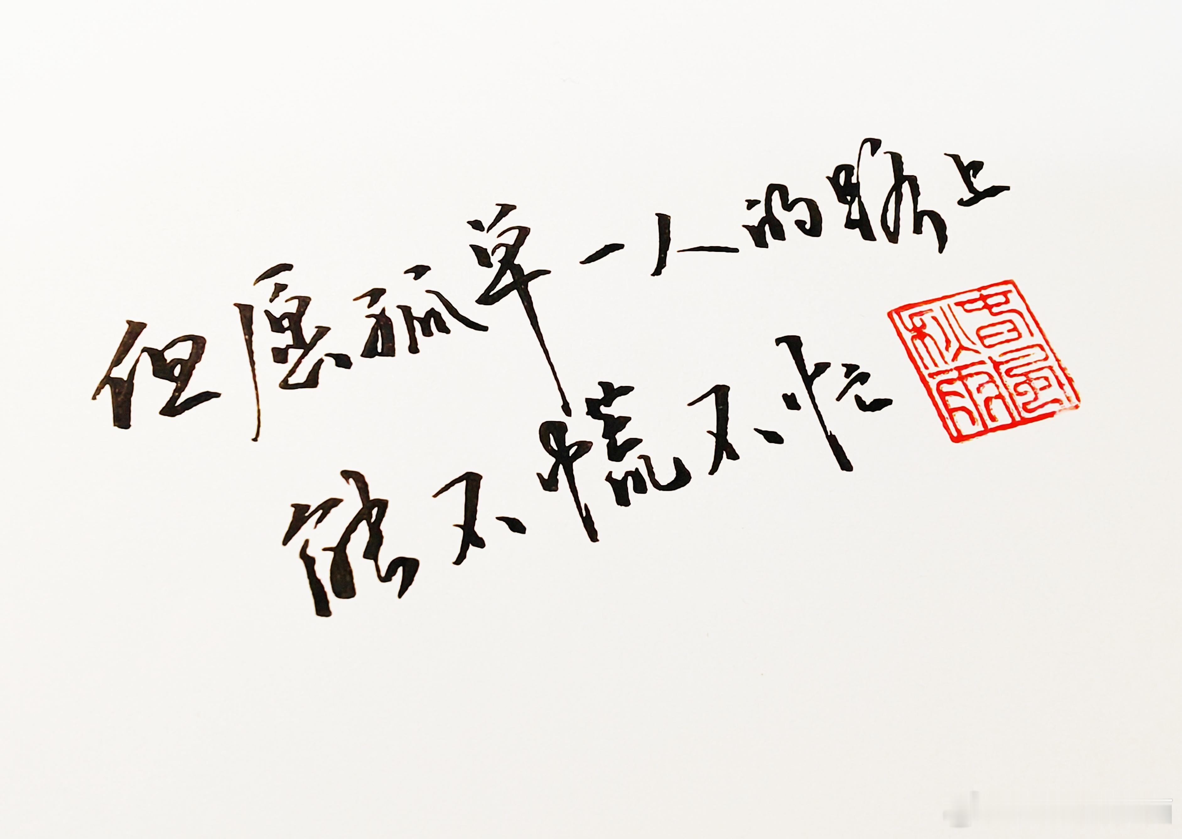 写了喜欢的两句 