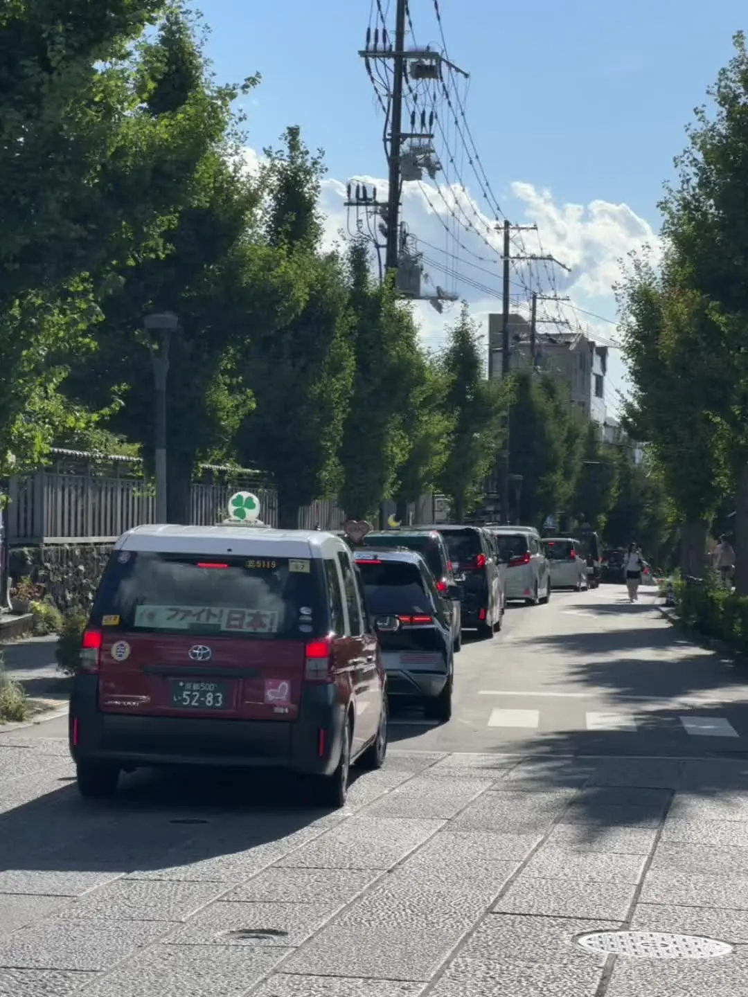 京都是一个漂亮的小地方京都