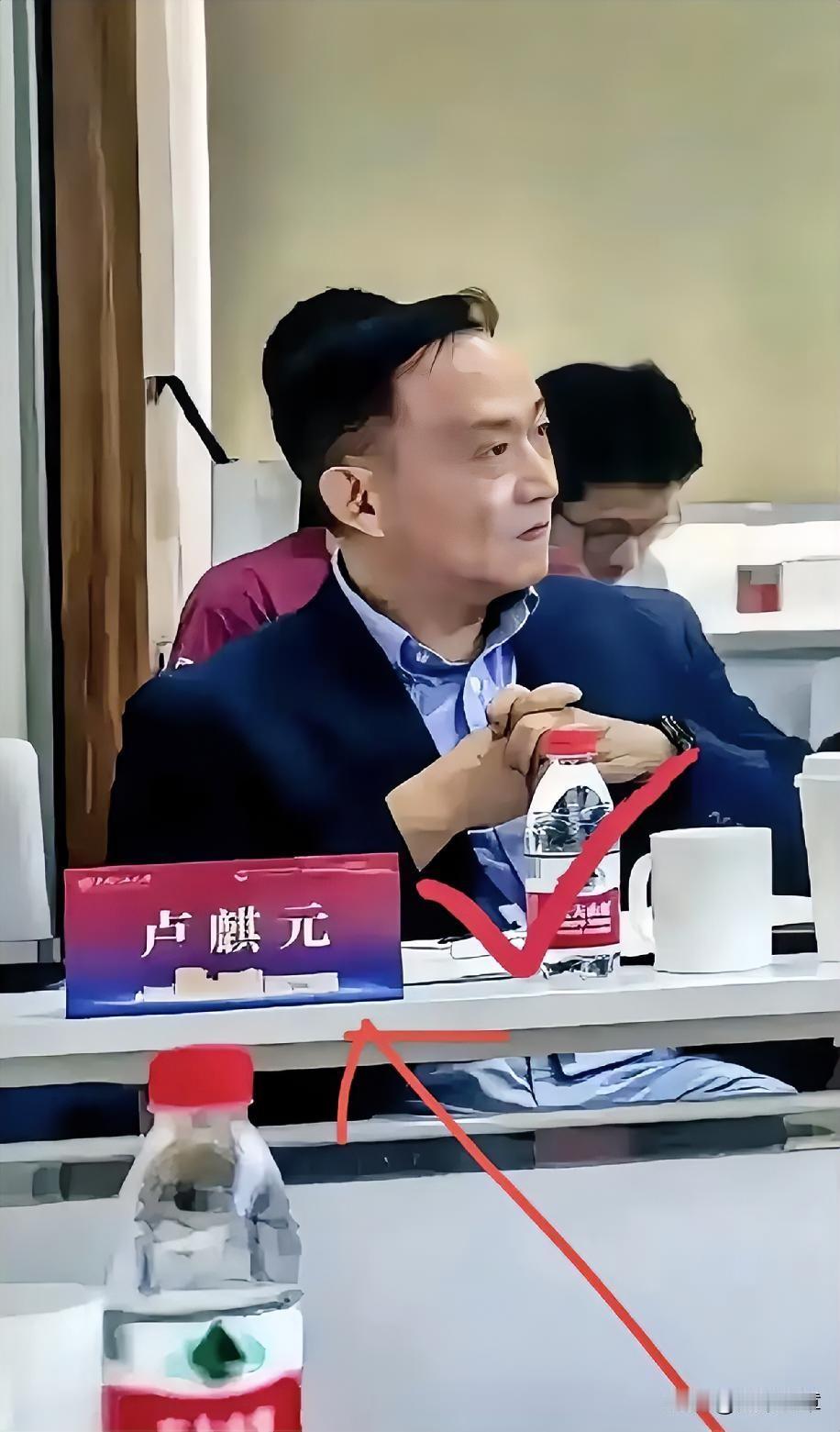 卢麒元这桩事，越想越觉得憋屈。他挖到经济疲软的根源是“走资”，戳中了利益集团的痛