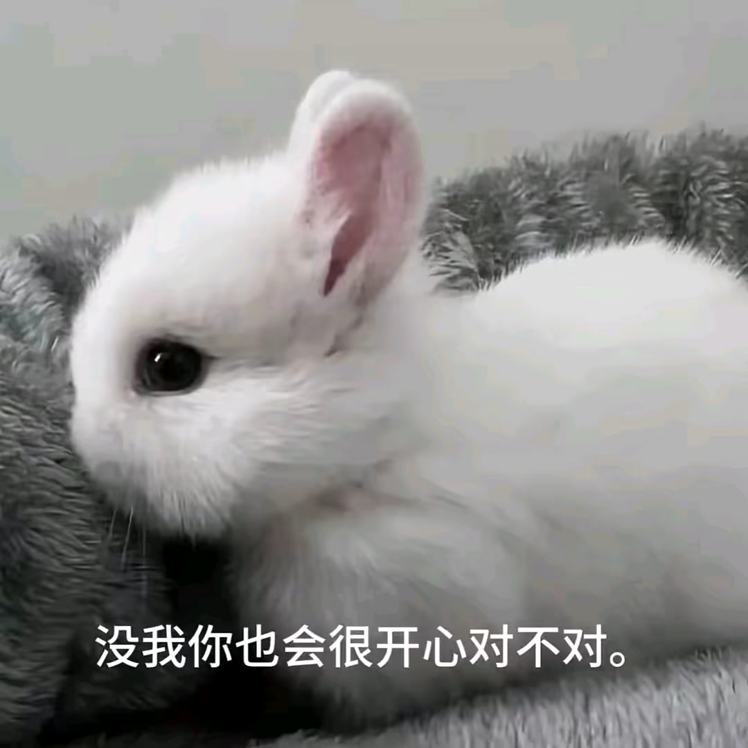 抽一套兔兔主题装扮 限铁 今天下午5:20开 ​​​