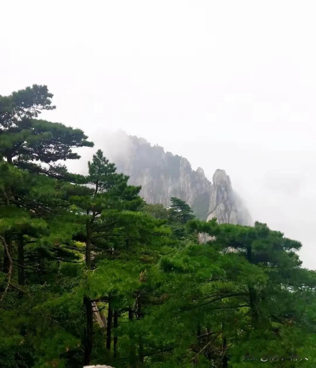 山歌
——俵妹山沟有温泉

俵妹山沟一温泉，
一年四季水不干。
要想喝水非易事，