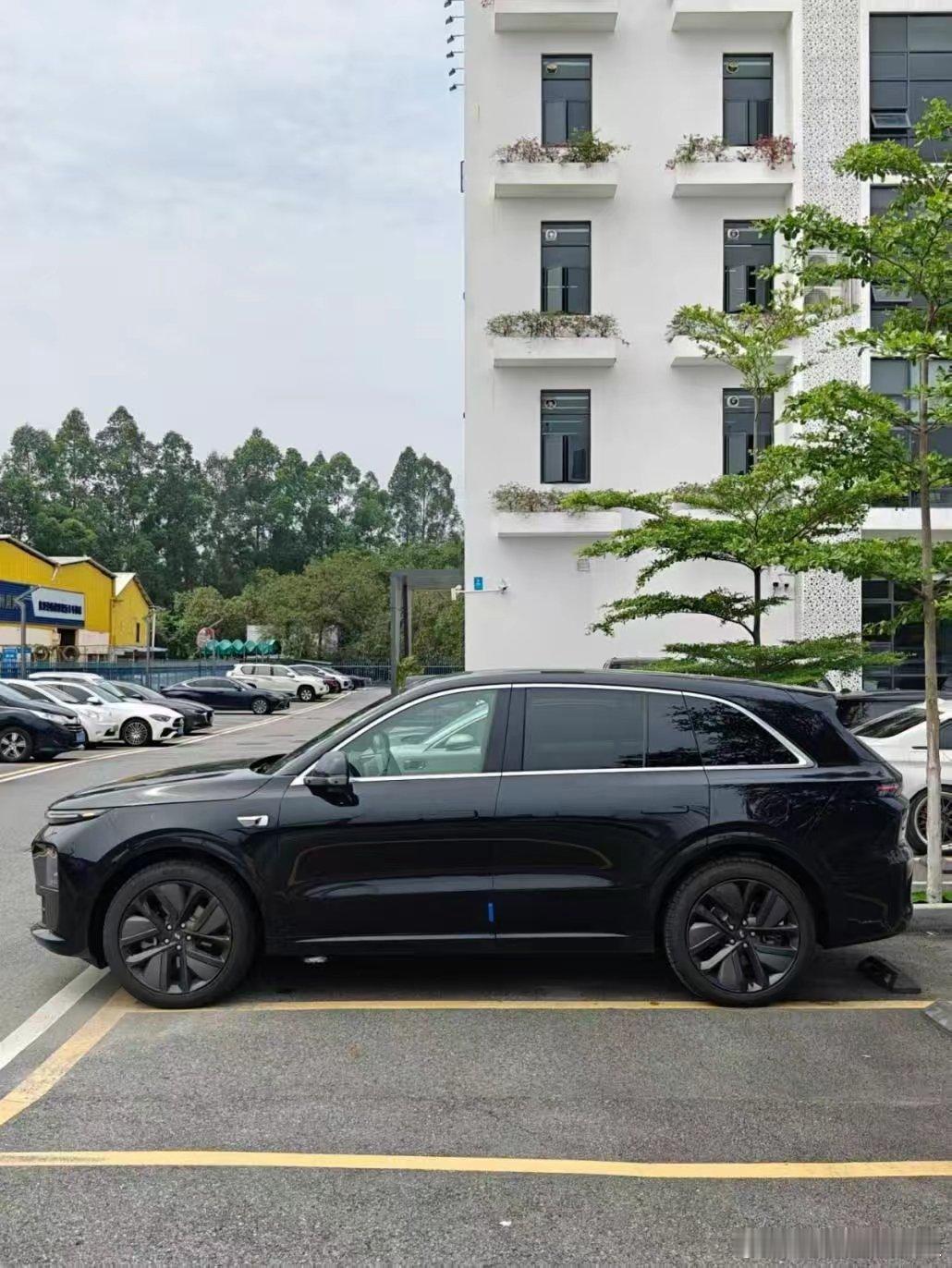 喜提理想 L6，可现在为车衣的事儿纠结得头发都要掉光啦！快来帮我想想办法呀！ 刚