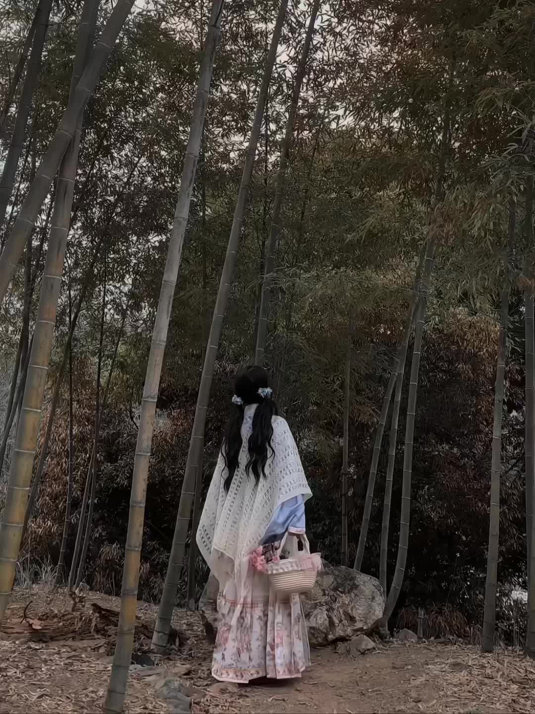 一种相思花自飘零水自流