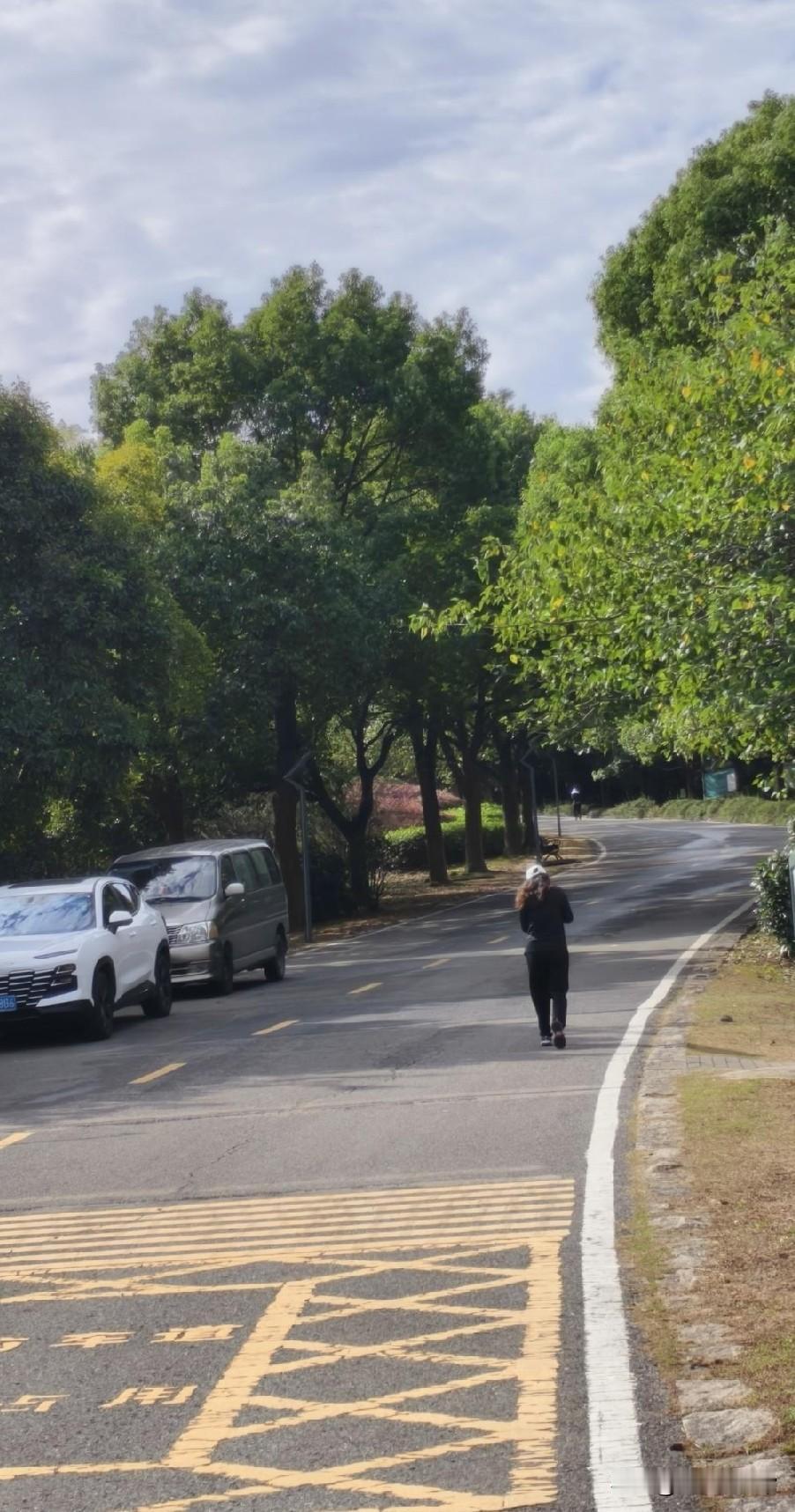 今天上午老伴开车去南京江宁大学城有事，我跟他一起去。他去办事，我一个人就在方山走