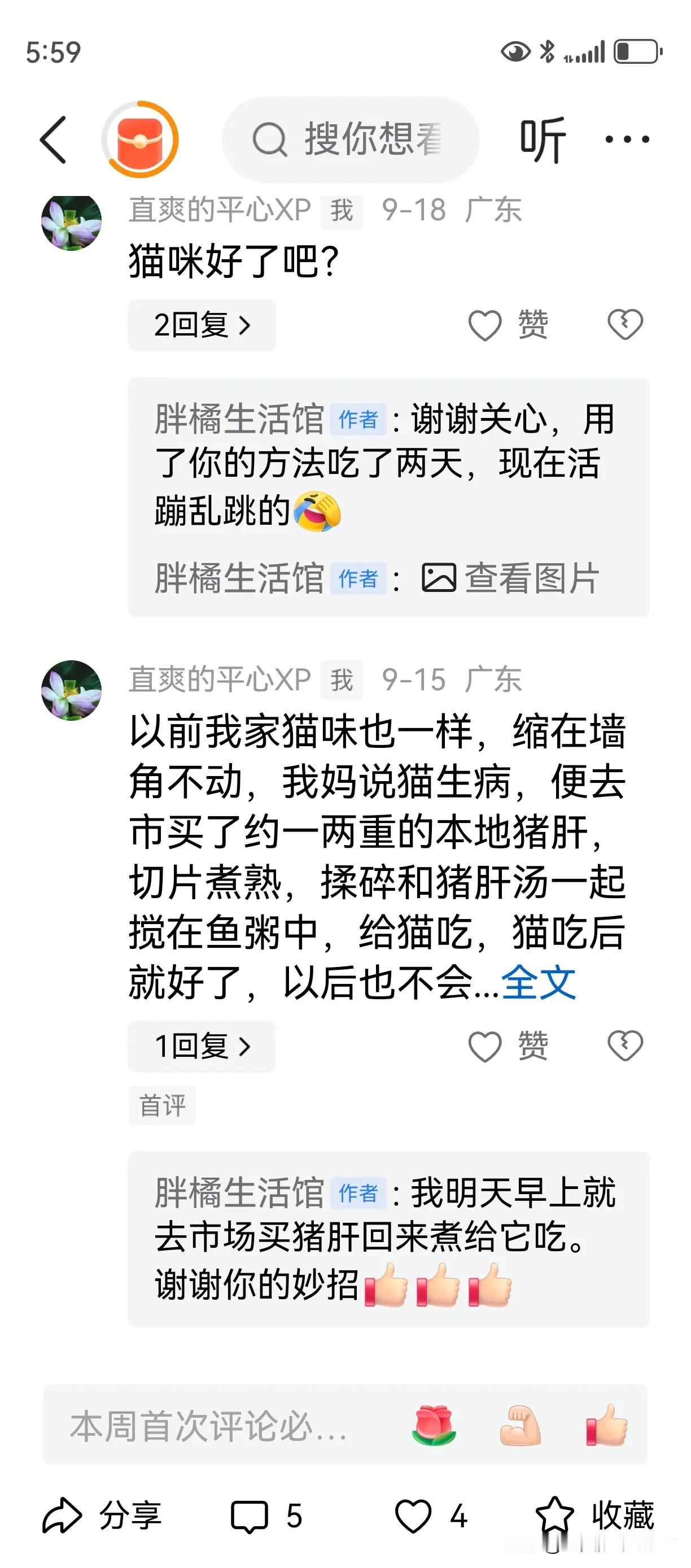 一个治猫生病的方法

今天看到又有人发帖说猫生病，因愁医药费，没有给猫看病。我为