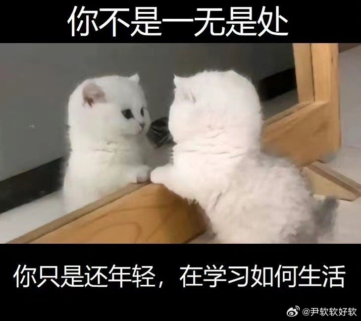 要努力多说话这样子回忆起来会感到是活着的咪