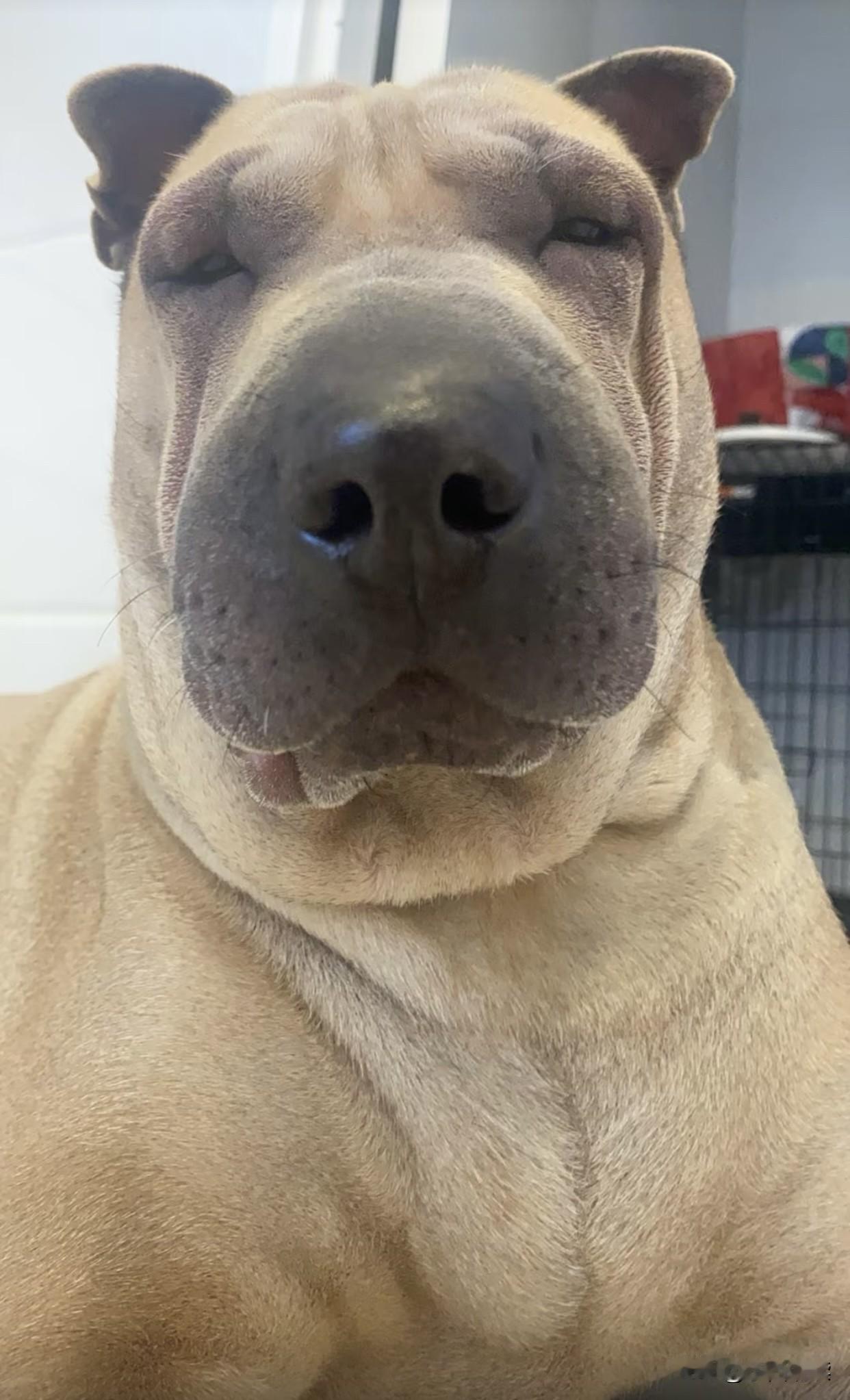 看看，第一印象，你们想到的是“直男”还是“心机男”？