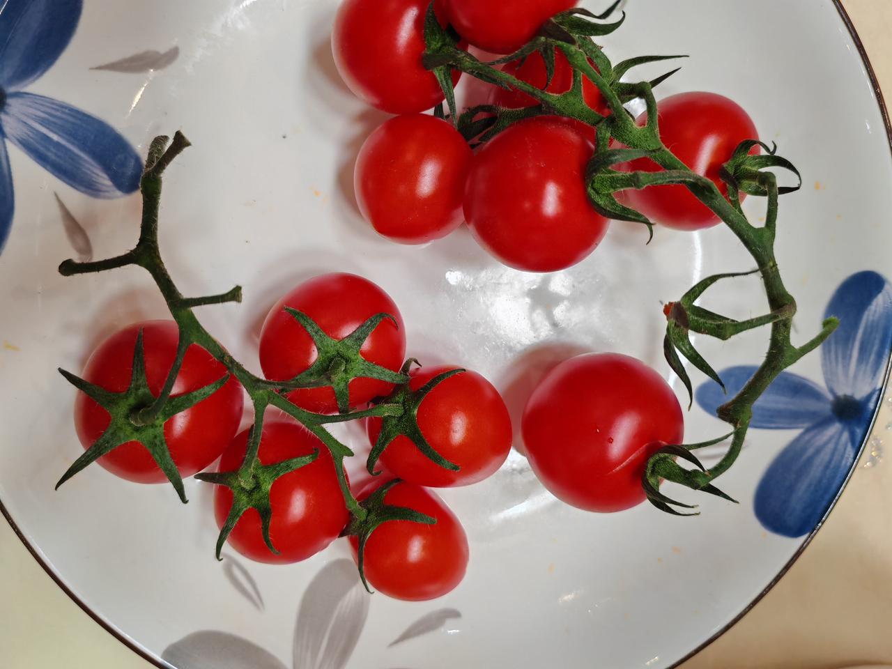 风险提示：以下仅为基于当前市场与数据的短期预判，不构成投资建议。
 
一、明日（