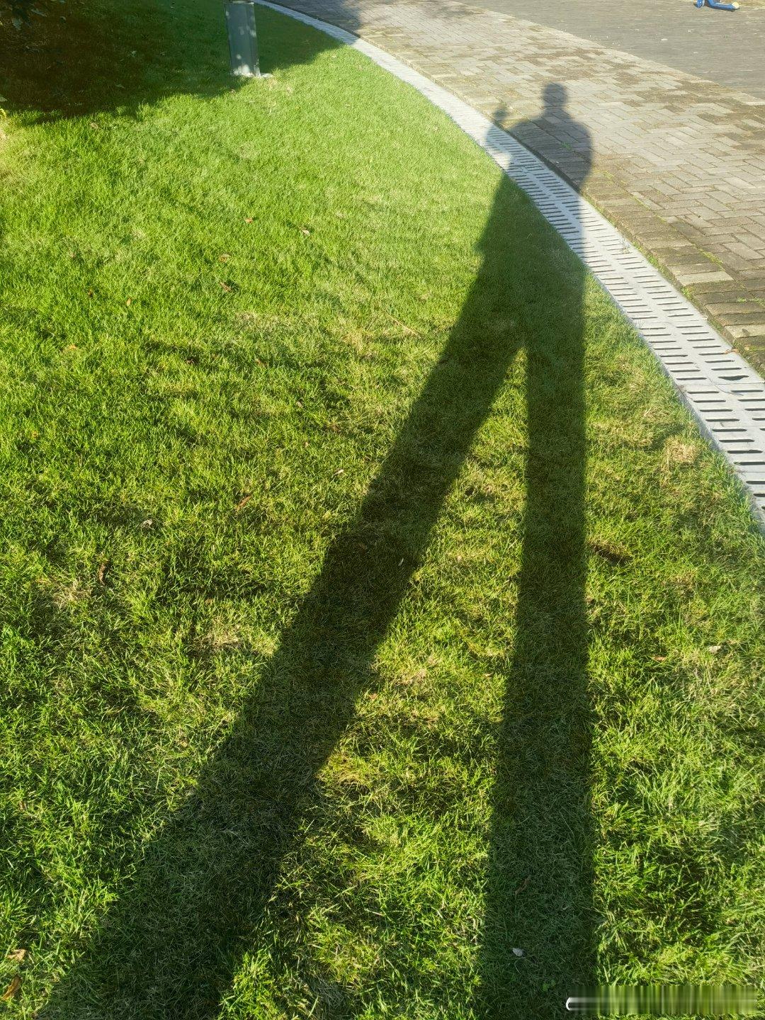 贪得无厌的聪明资金会利用普通投资者的贪婪和恐惧来获取超额收益。股市中能战胜贪婪和