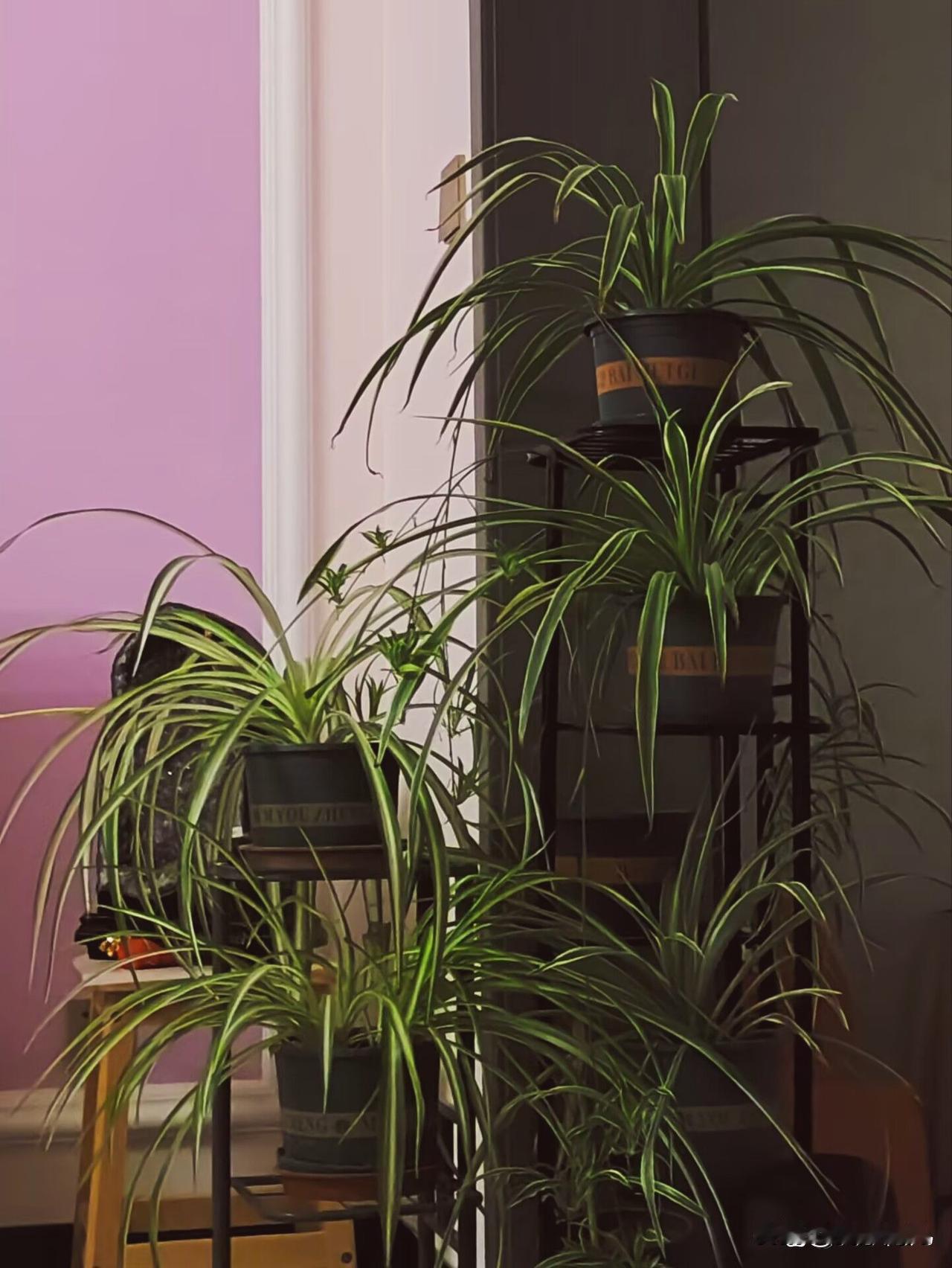 敬酒时，先敬长辈、
再敬平辈，话术简洁真诚，
不浮夸、不谄媚。
饭局的核心是相聚