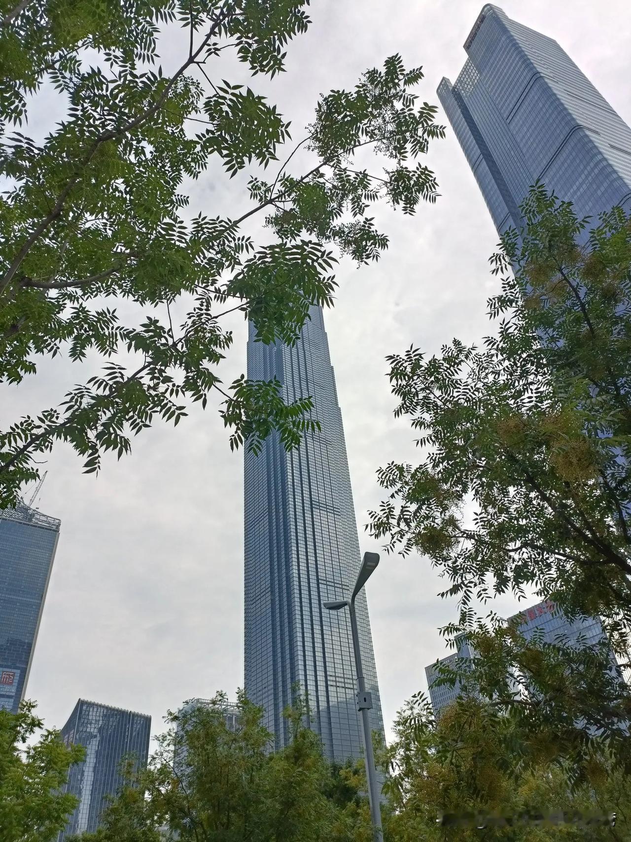 补个胎就要30块钱。
今天早晨骑着电动车上班。
半路上车胎突然爆了。
害怕迟到，