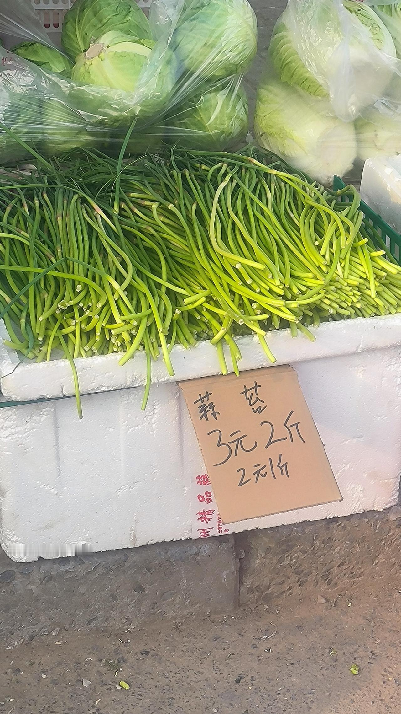 这价格我真没看错？北河沿蒜苔三块两斤!

逛保定北河沿儿，发现红帽蒜苔大降价，直