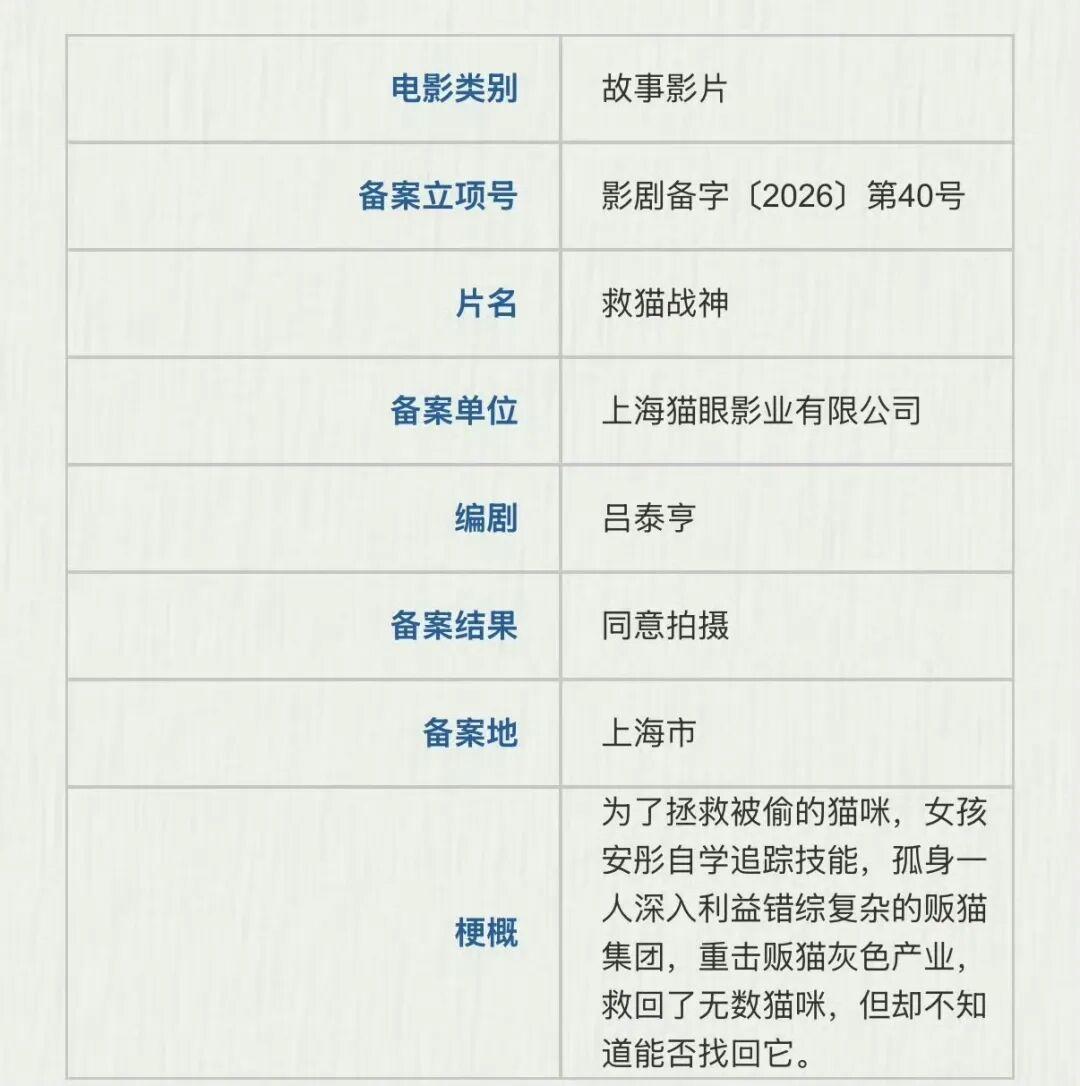 电影《救猫战神》泉州开机
 电影《 救猫战神 》泉州开机 主演：刘浩存、张新成 