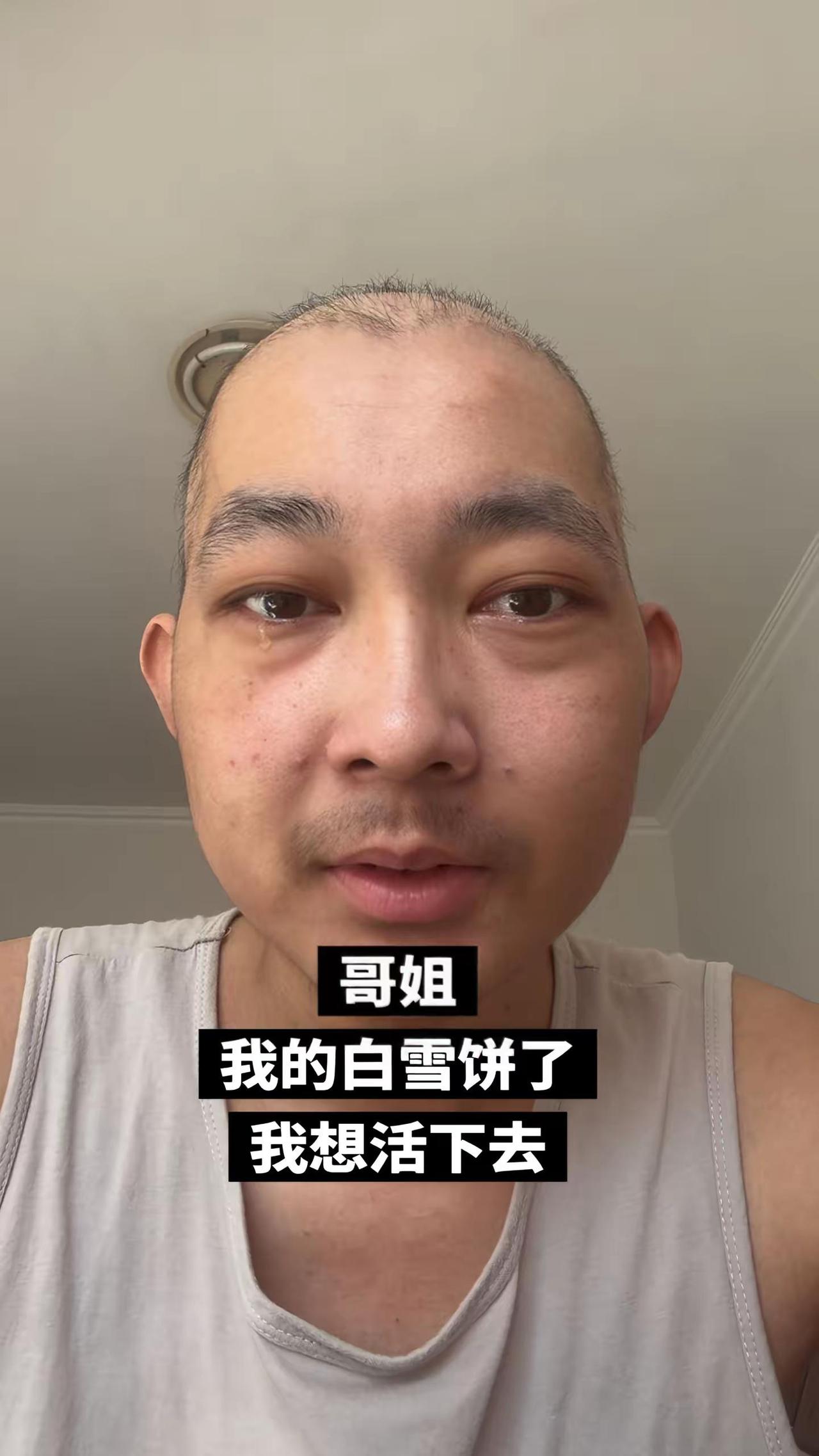 白鹿 赵露思 张元英 张嘉译