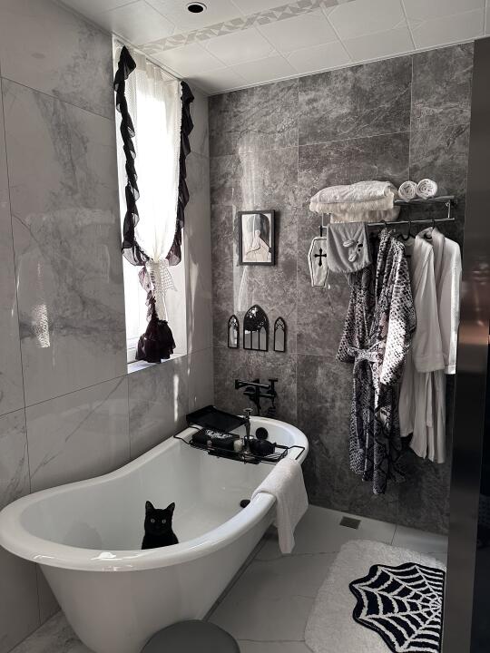 无孩爱猫女的深色主卧套