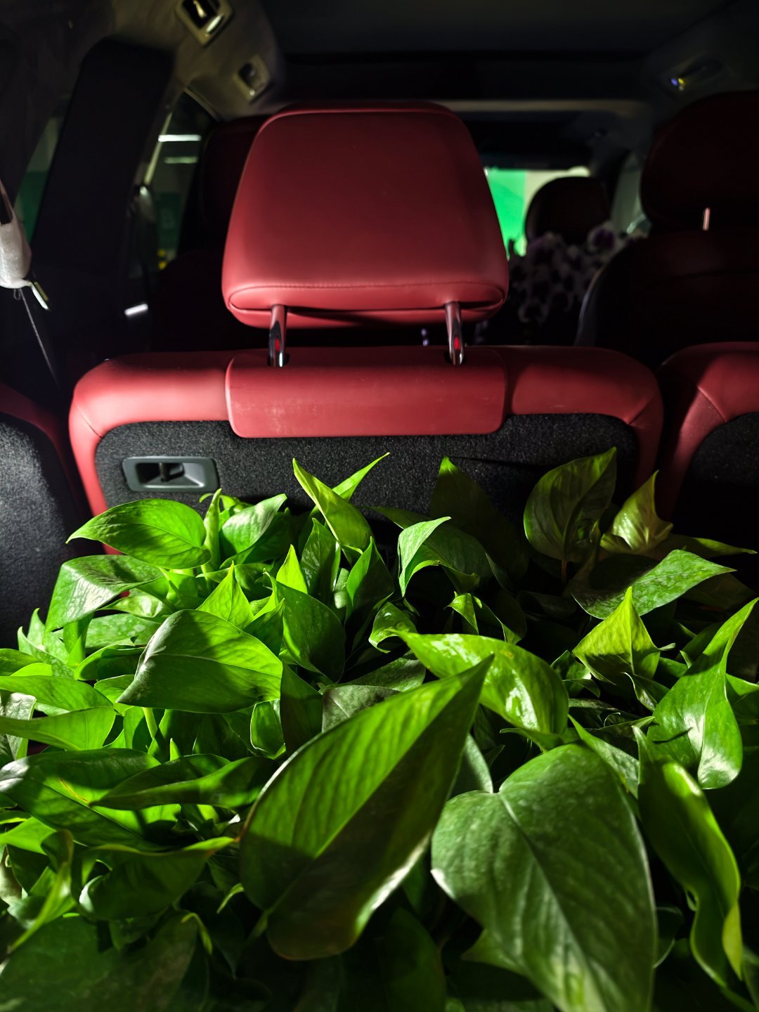 搬家OK倒计时！还好只需要搬部分东西平时不觉得，一打包可是真多