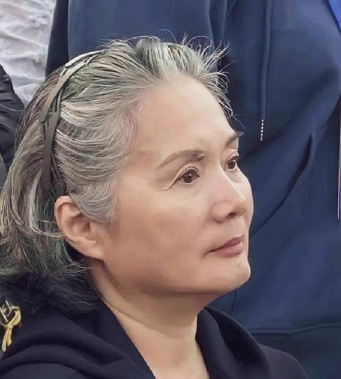 优雅老去的老戏骨一头银灰相间的卷发，简单发箍束起，身没有刻意修饰妆容。眼神沉静，