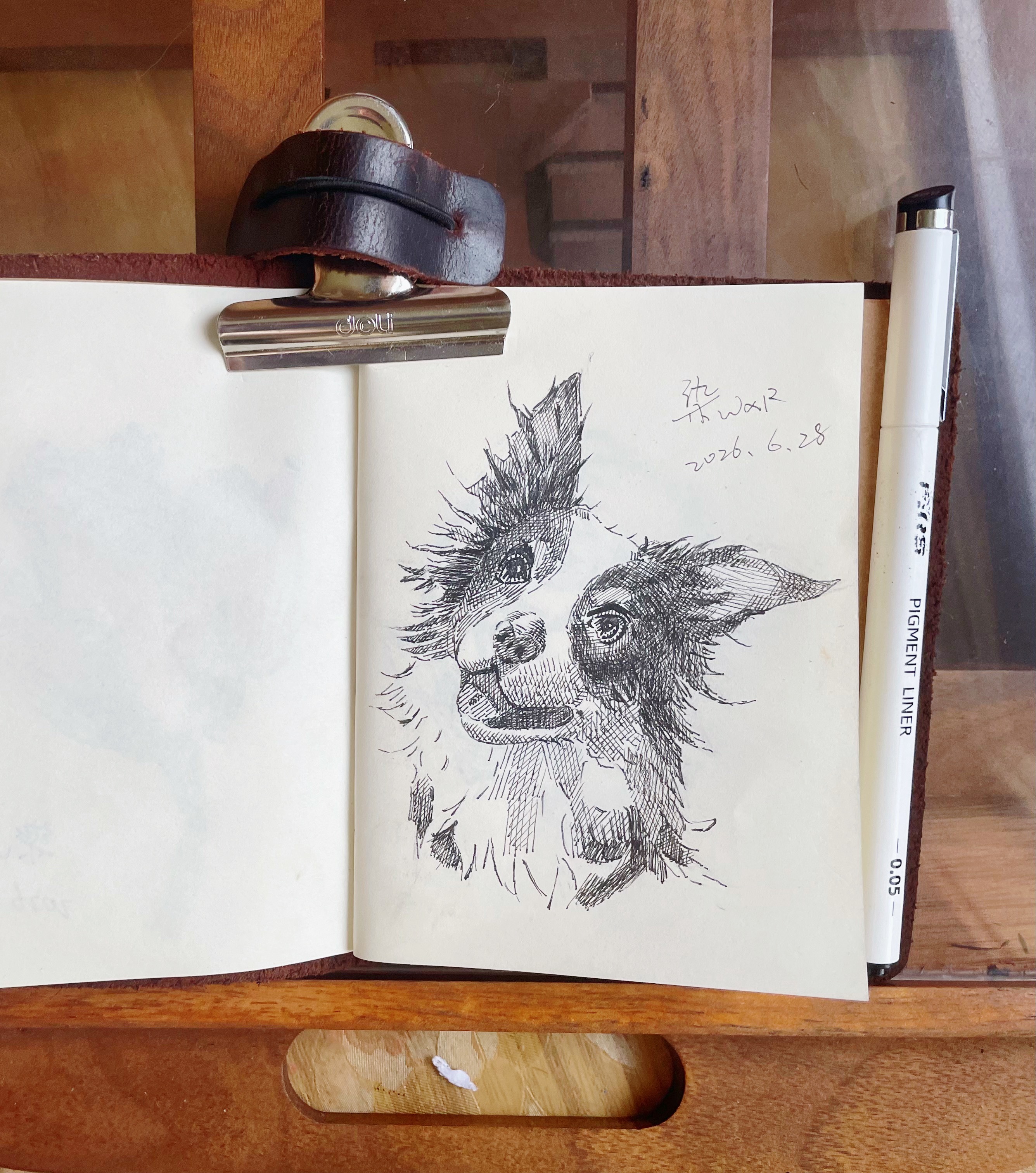 超话创作官 钢笔小速写，一只狗狗绘制完成遇见艺术插画