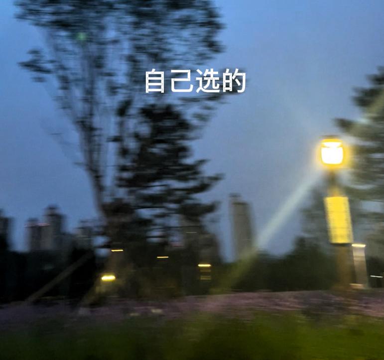 我们常说，咱来世上一趟是来体验的，假如说这一生不是随机的，是你亲自挑选的，是看清