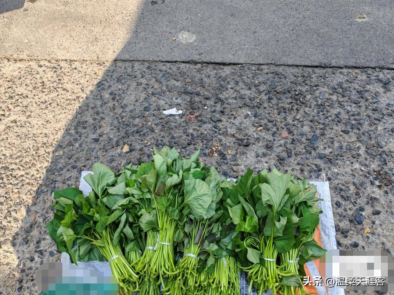 想趁着暑假，让儿子出去摆个小摊历练一下。不想往里搭本钱，思来想去，就去自家地里掐