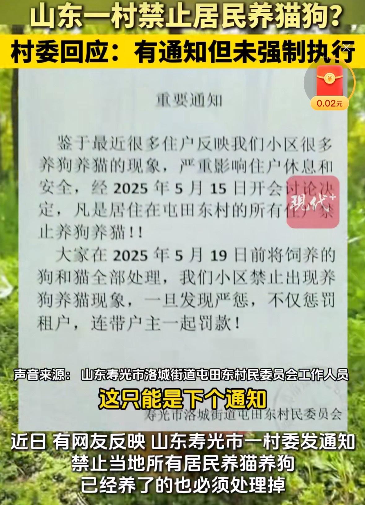 山东一村委发文禁止居民养猫狗前人砍树，后人暴晒，能下出这通知来的狗患问题得挺严重