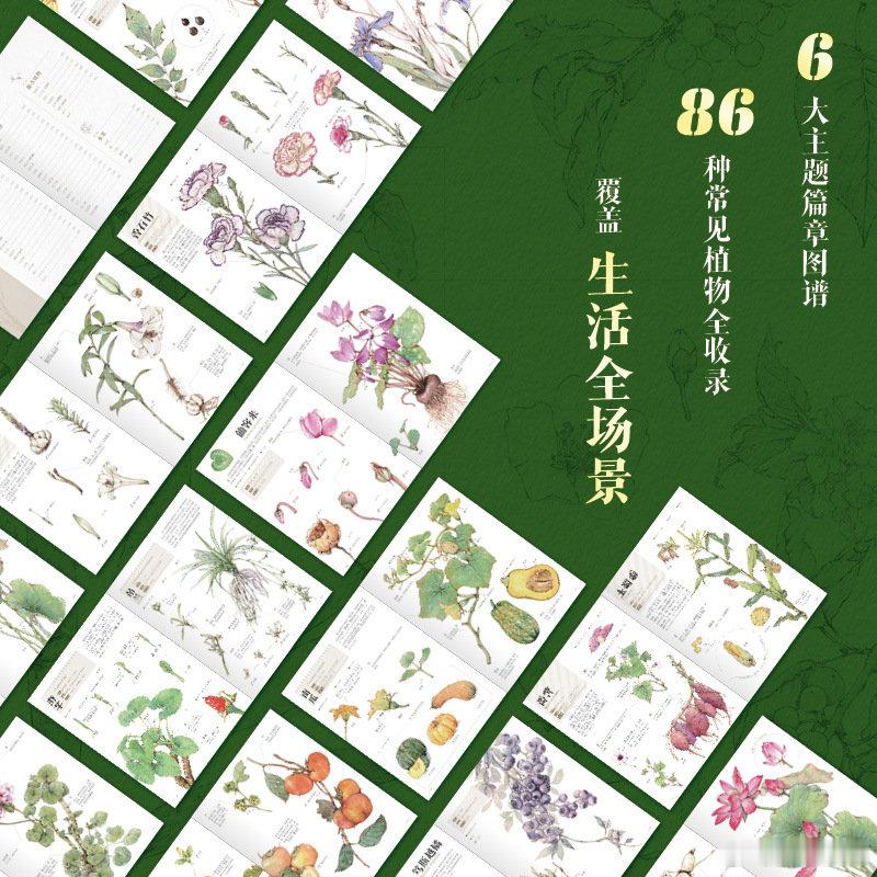 知書club 新书介绍丨本书是一本专为满足读者对植物世界的好奇心与探索欲而精心编