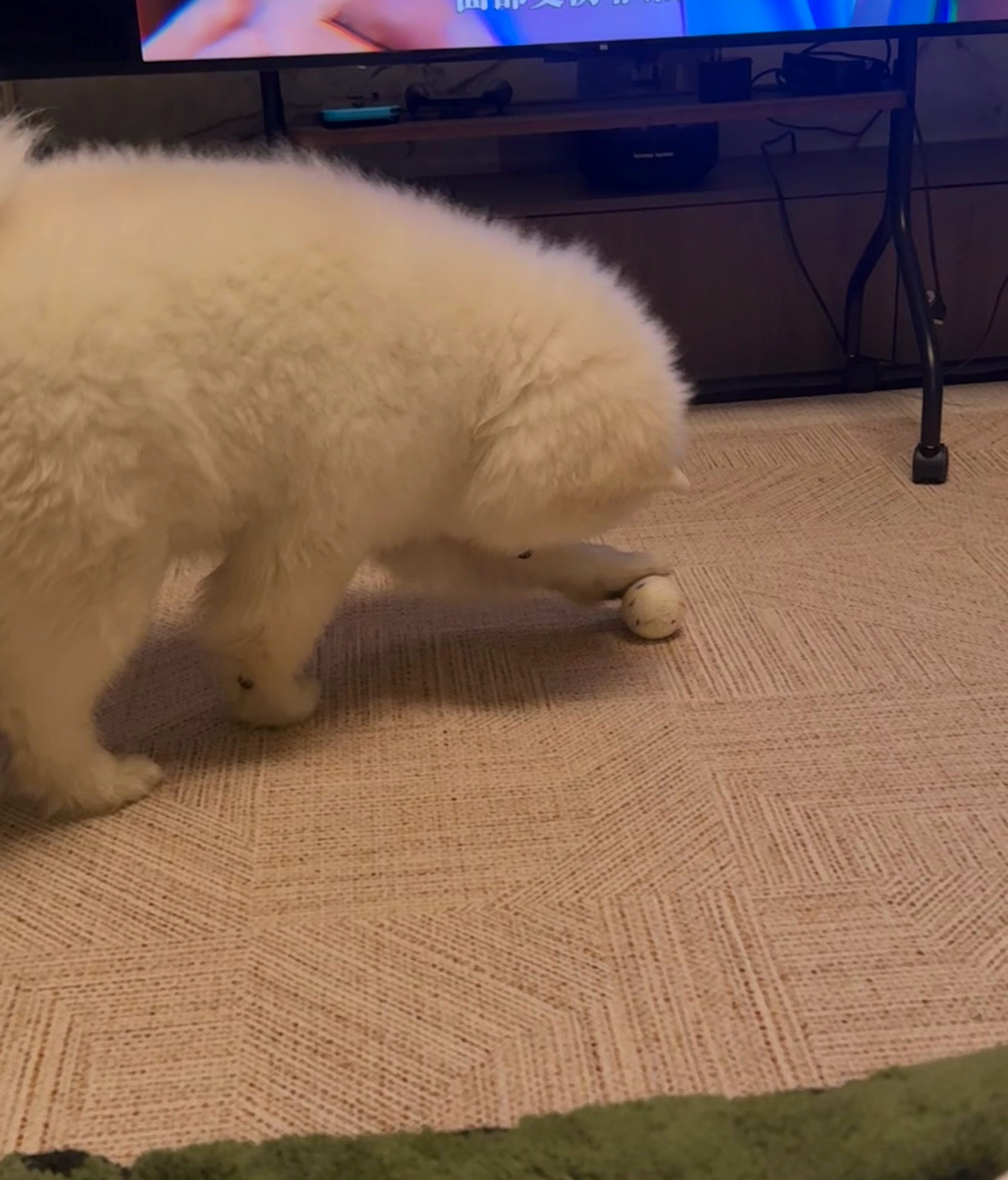 一直在看我会不会和她丸…… 