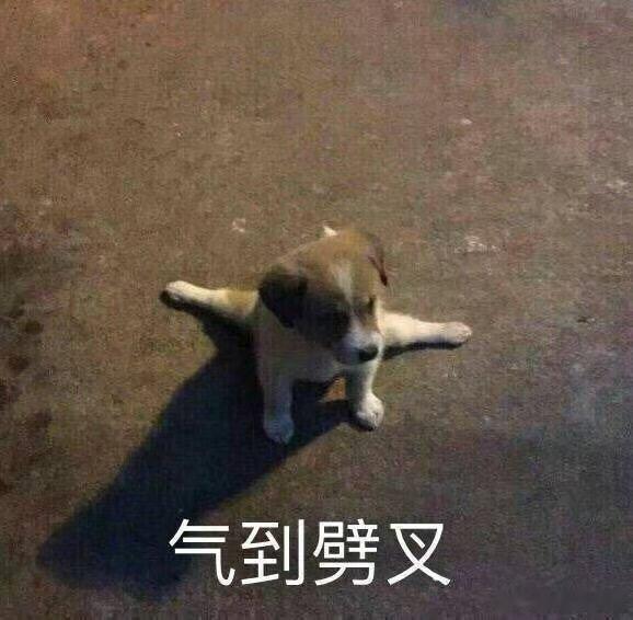 好久没吃外卖不知道吃啥，于是保底点了个刘文祥，咋说呢要不是点过的店我都怀疑自己点