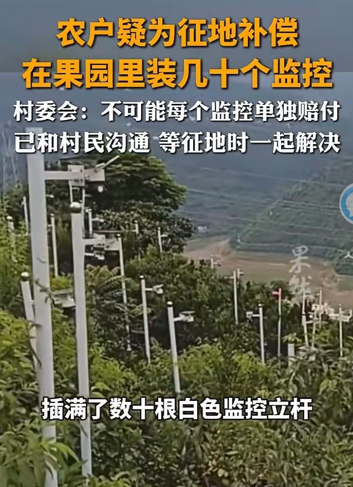 这农户堪比周扒皮，傲世铁公鸡，万万没想到竹篮打水一场空，本来想靠征地赚个盆满钵满