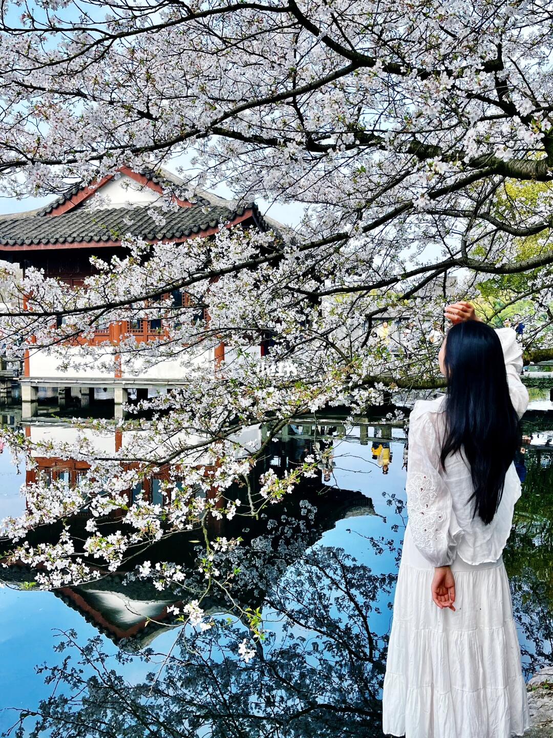 live|接下来的杭州🌸是万万次的春和景明