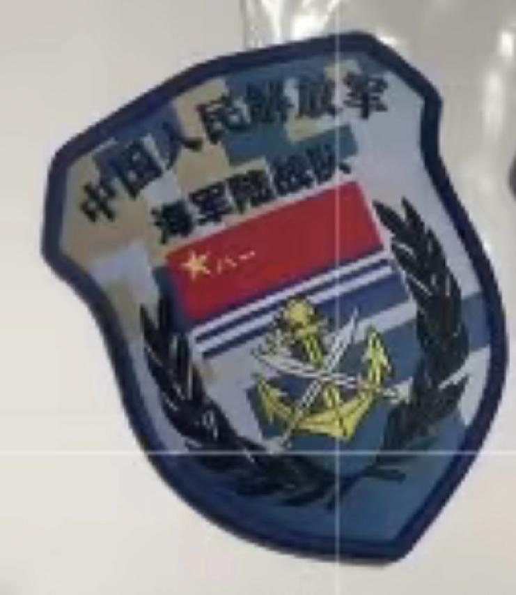 中国人民解放军海军陆战队臂章