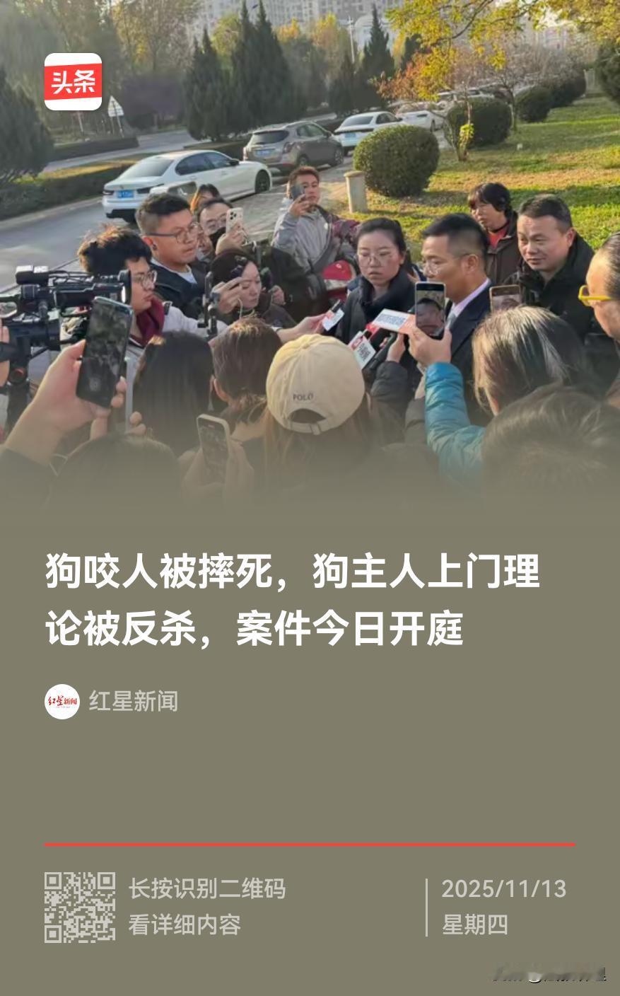 一条狗命值得么？[捂脸]被狗咬伤案 狗咬人→人杀狗→人杀人 …这起悲剧戳中了所有