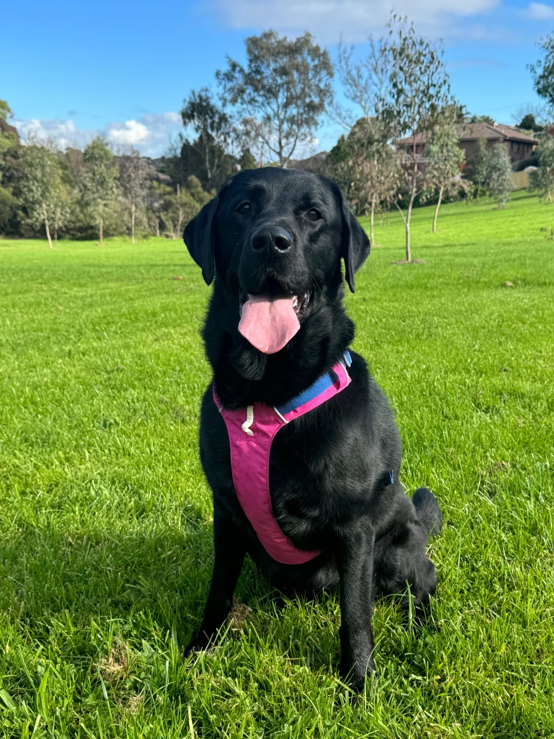 重回小时候爱去的小公园