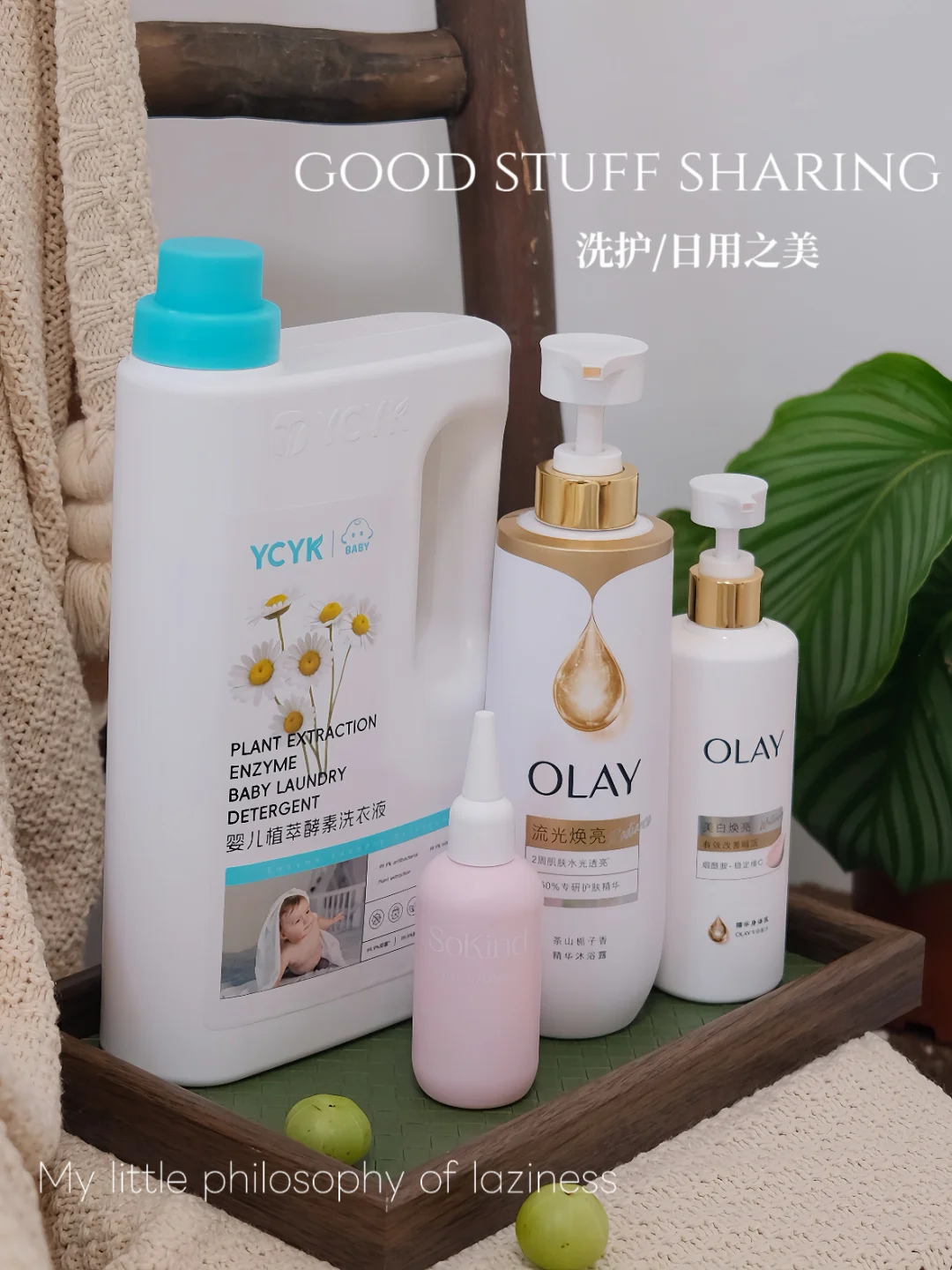 陪伴好物｜把精致与安心揉进日常🧺