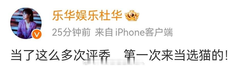 #网友喊话杜华带朱正廷的猫参赛# 杜华把选秀的风吹到了猫咪届，正式成为全民铲屎官