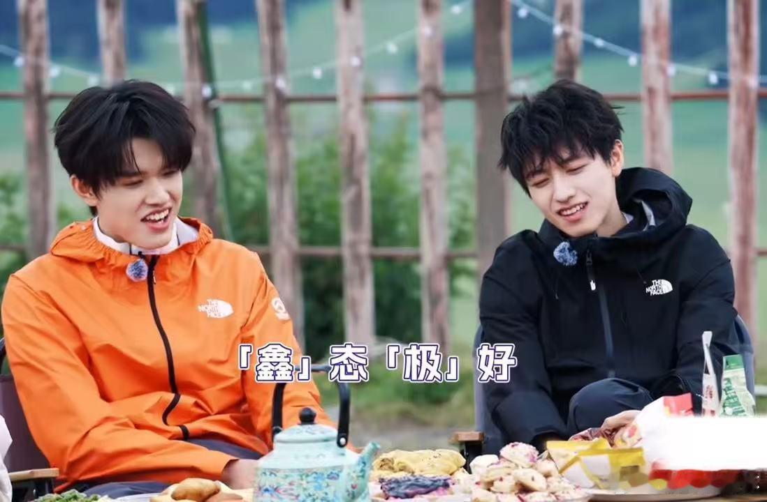 张极选了朱志鑫朱志鑫张极难兄难弟 朱志鑫张极说自己俩养老了，听着挺乐呵，但实际干