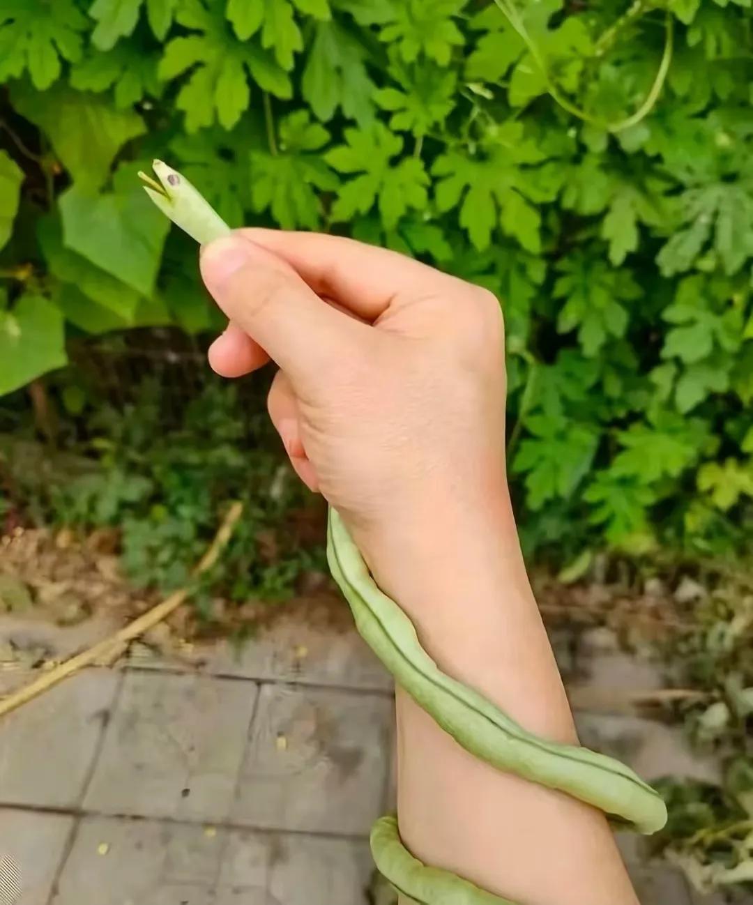 不小心被它咬了！需要挂什么科？
