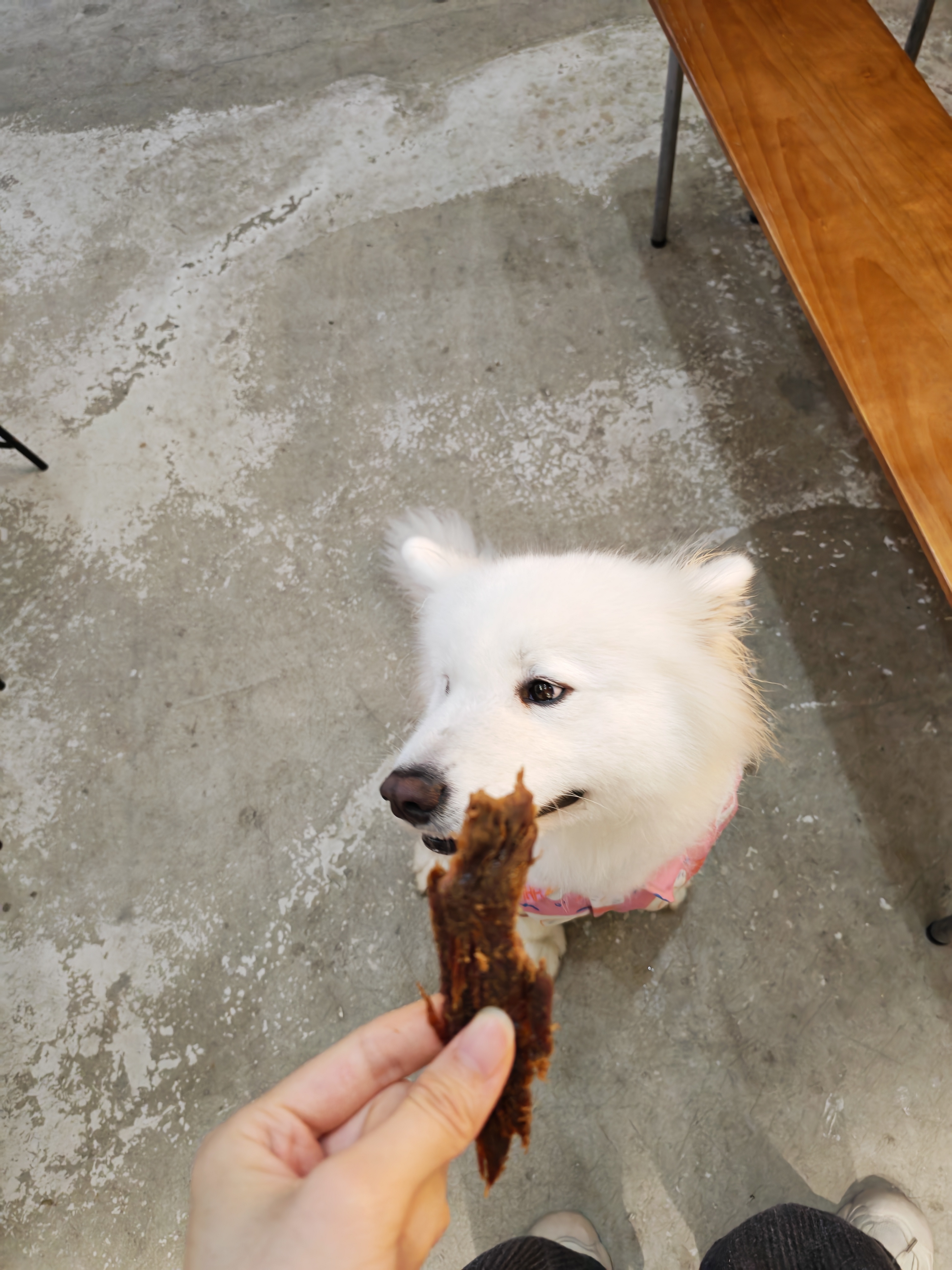 如此渴望 