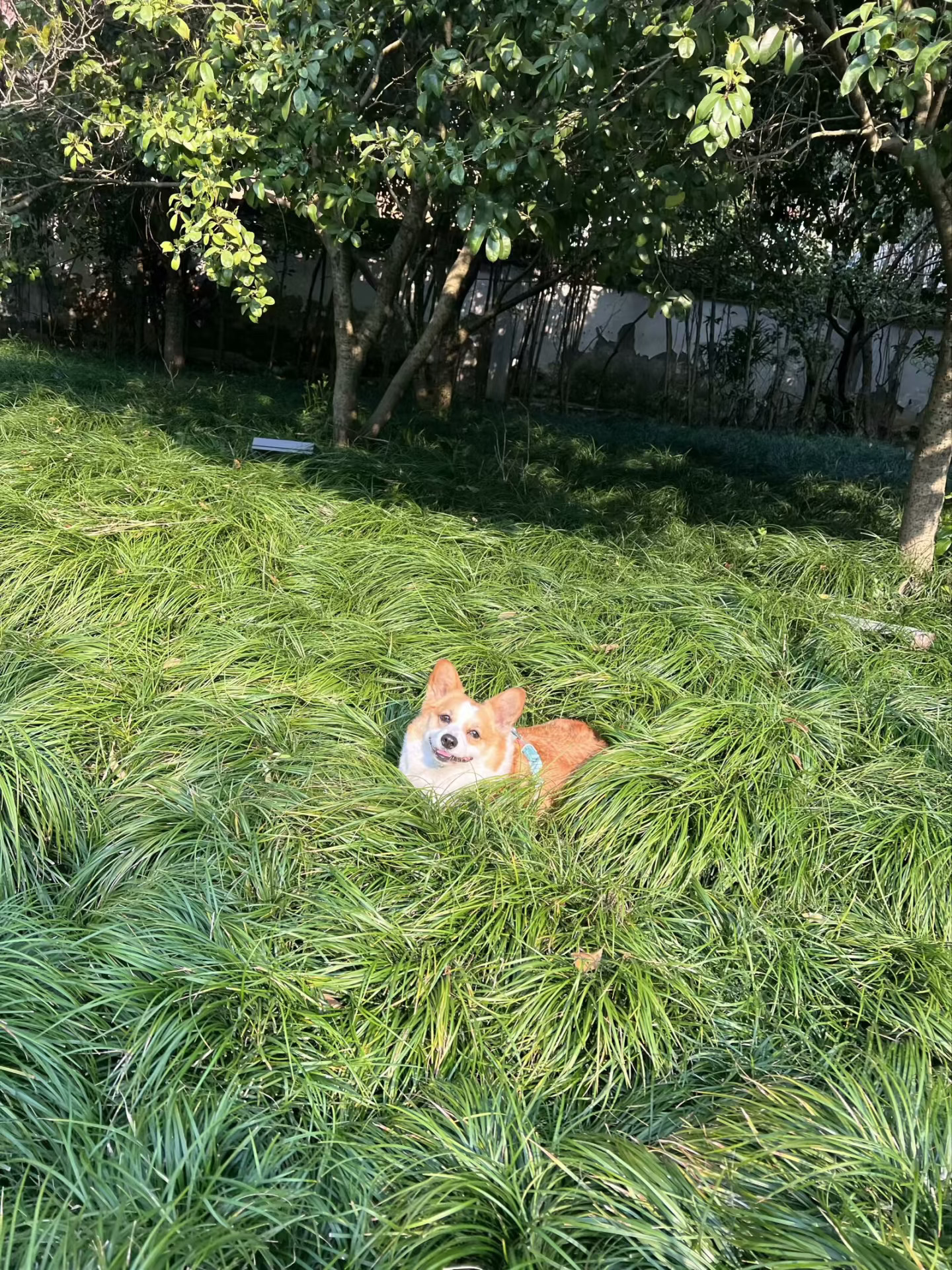不要错过这一篇